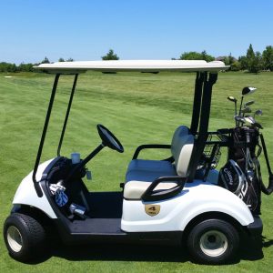 Electric Golf Cart